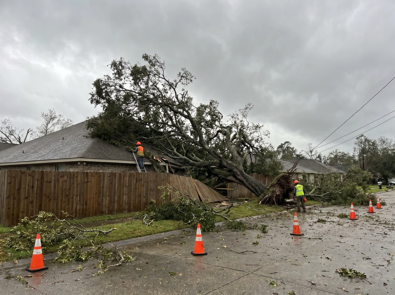 Hurricane Tree Preparation in Baton Rouge, Louisiana